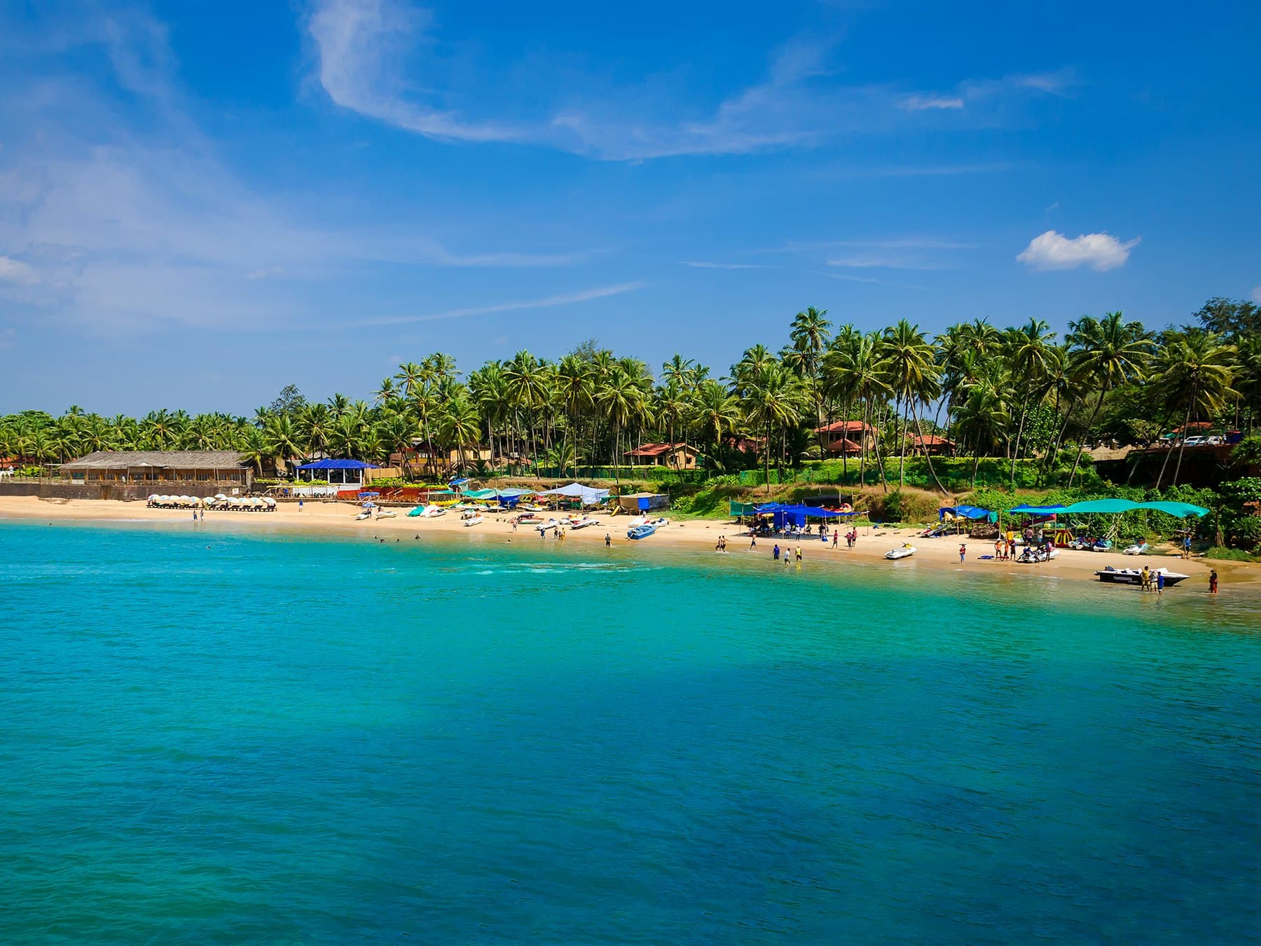 Palm-lined beach with fishing boats on the North Goa coast