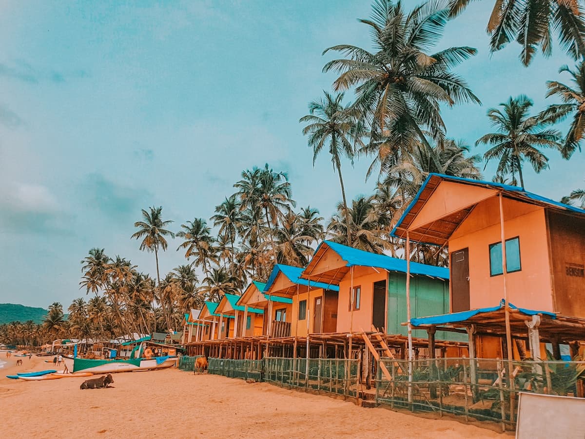 Beach huts under coconut palms on the Goa coast